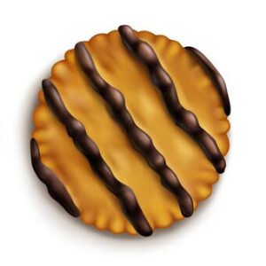 rotary-cutter-for-biscuit-manufacturing